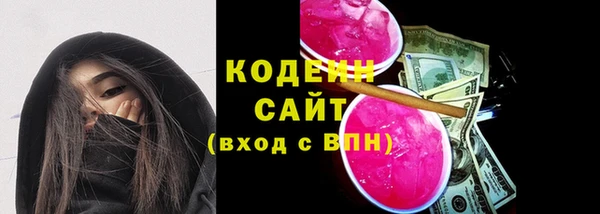 прущий лед Бородино