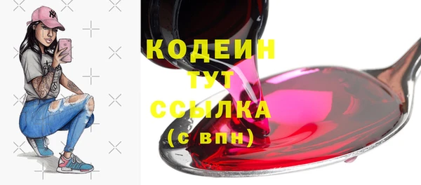 прущий лед Бородино