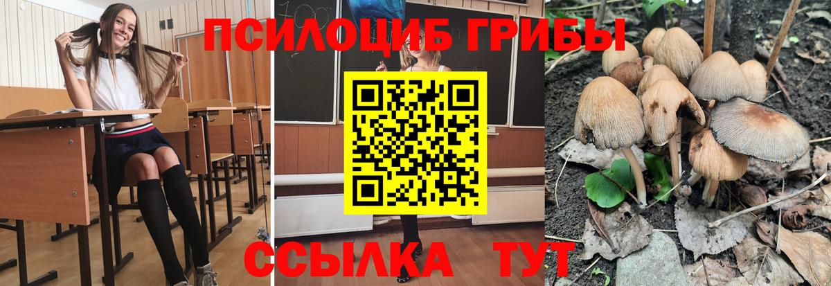 Меф МЯУ МЯУ кристаллы  Гашиш  Кокаин  Канабис  Кетамин  Семилуки  Вход с VPN  MDMA  ГАШ 