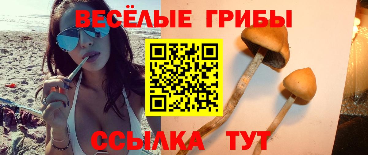 Семилуки  где найти наркотики  Вход с VPN  Псилоцибиновые грибы MAGIC MUSHROOMS 